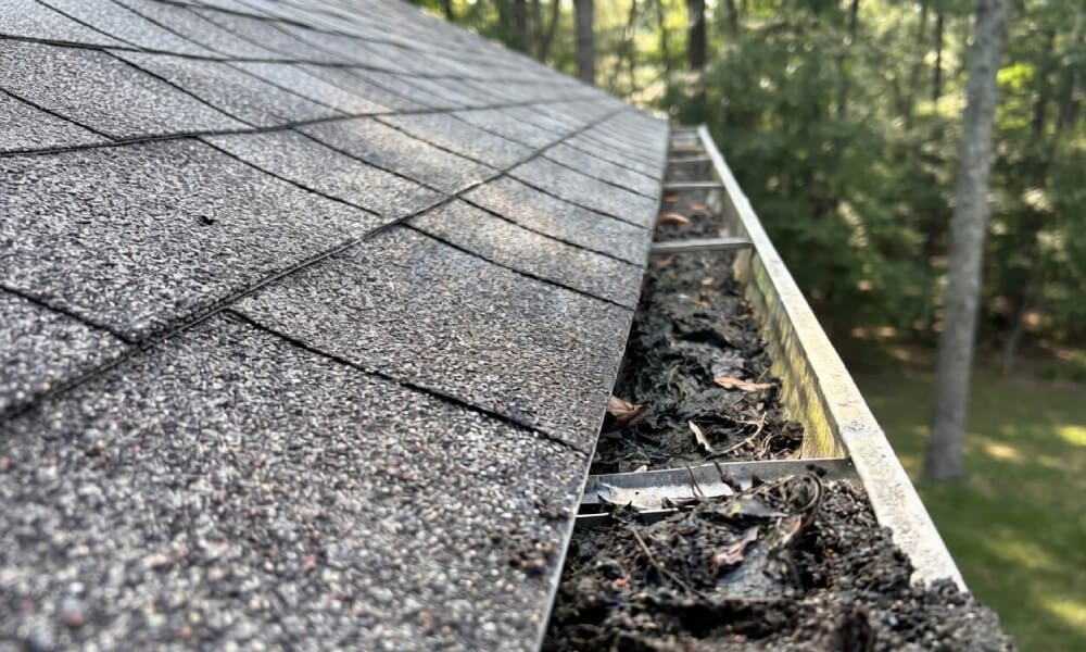 Roof line before Pure Gutter Solutions replaced the fascia, soffit and gutters